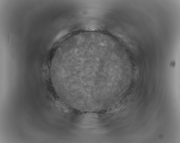 X0000097631446200803142014