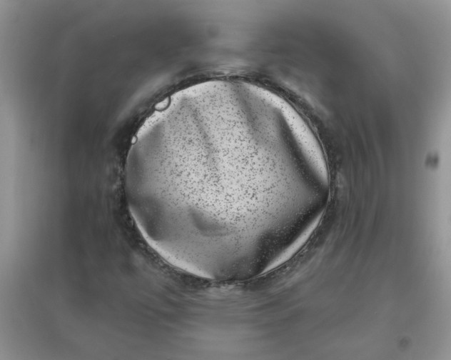 X0000097631447200803142014