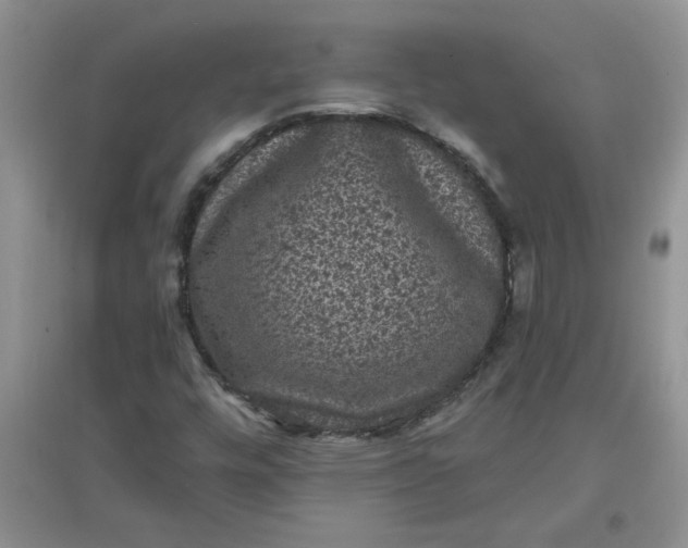 X0000097631448200803142014