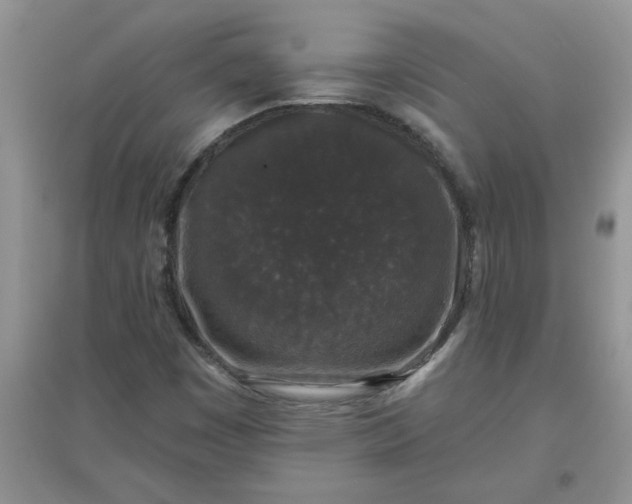 X0000097631449200803142014