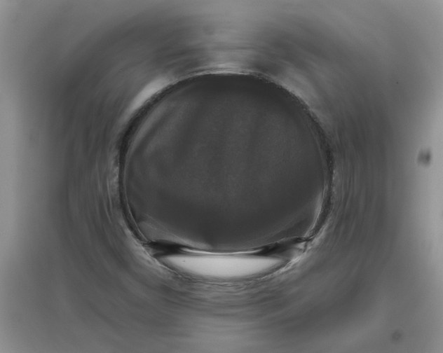 X0000097631450200803142014