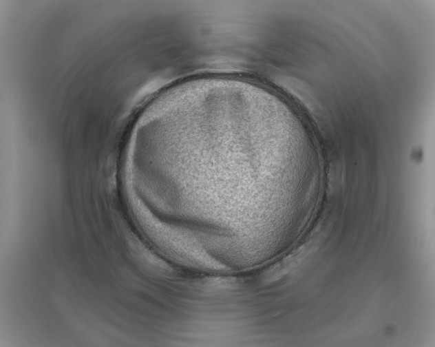 X0000097631451200803142014