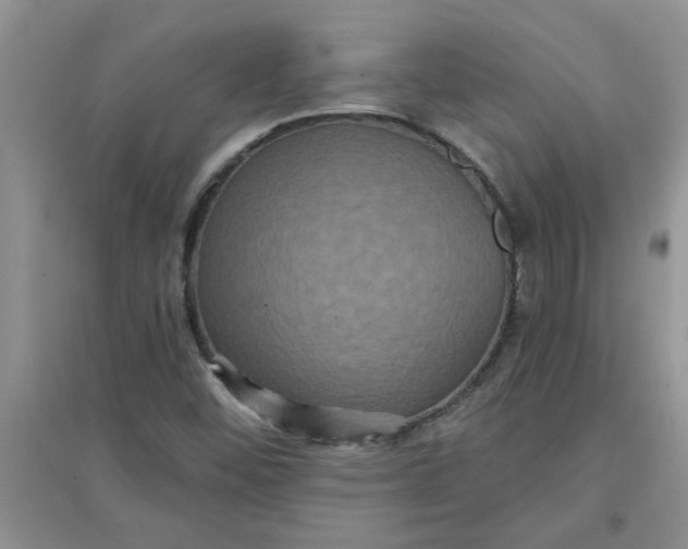 X0000097631452200803142014