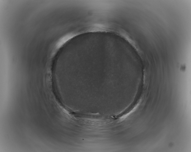 X0000097631453200803142014