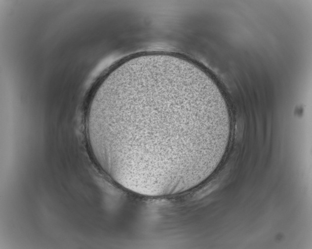 X0000097631454200803142014