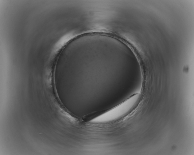 X0000097631455200803142014