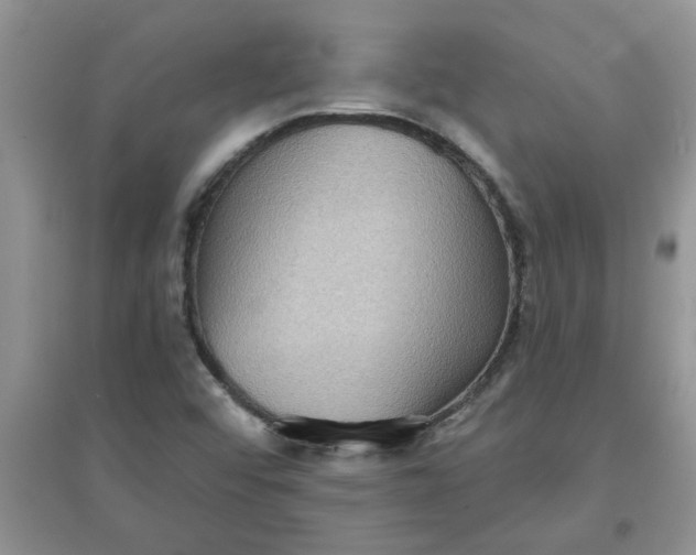 X0000097631456200803142014