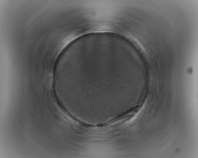 X0000097631457200803142014