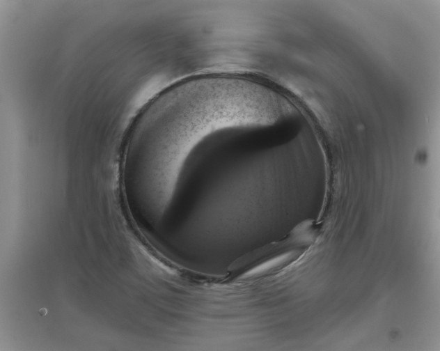 X0000097631459200803142014