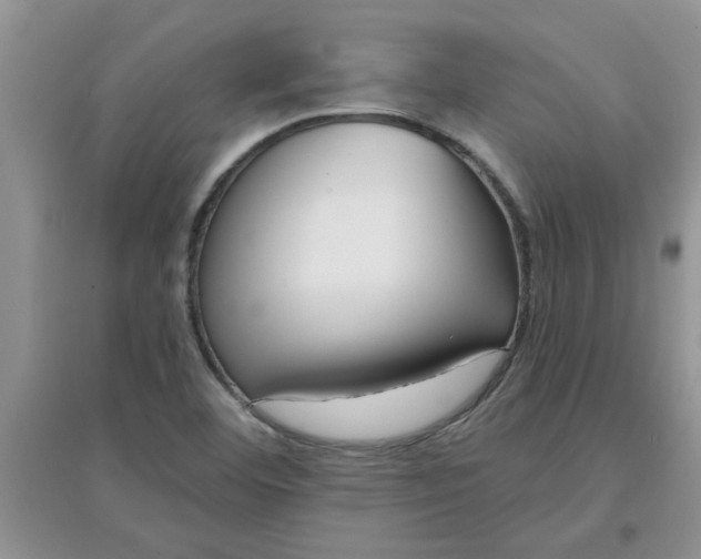 X0000097631460200803142014