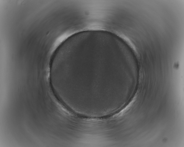 X0000097631461200803142014