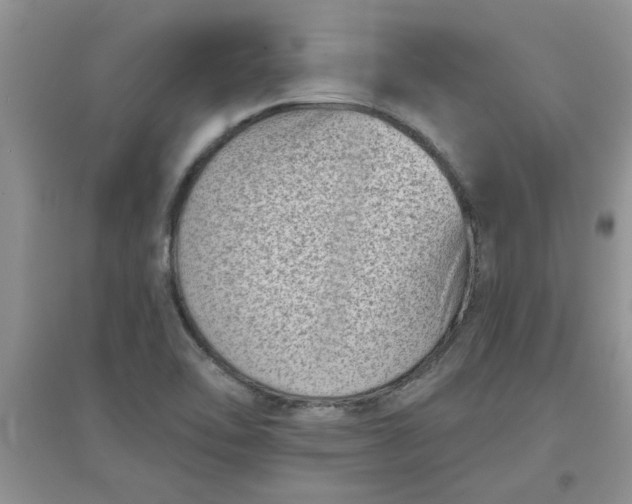 X0000097631462200803142014