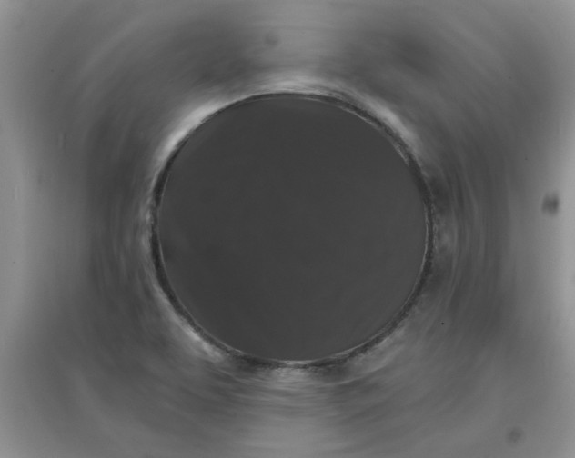 X0000097631463200803142014