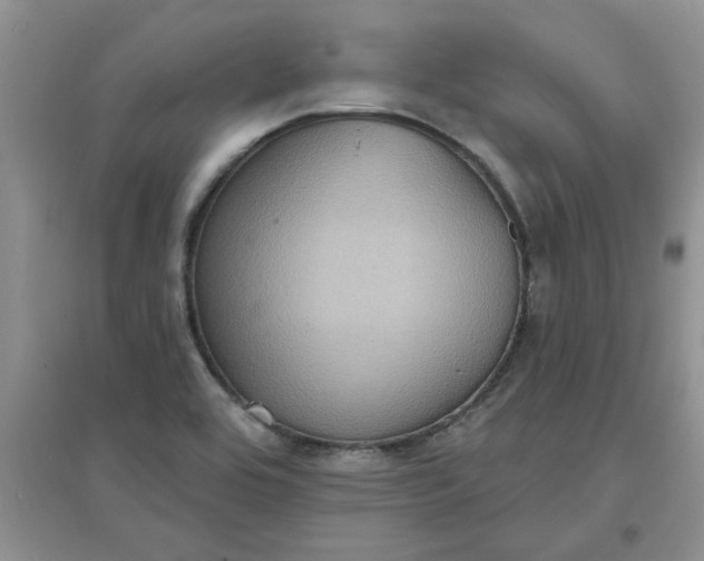 X0000097631464200803142014