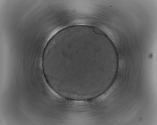 X0000097631465200803142014