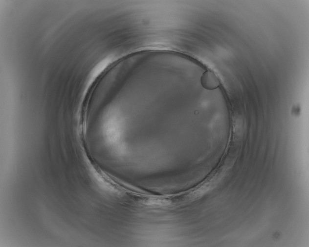 X0000097631466200803142014