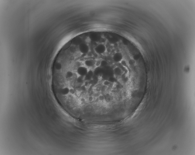 X0000097631467200803142014