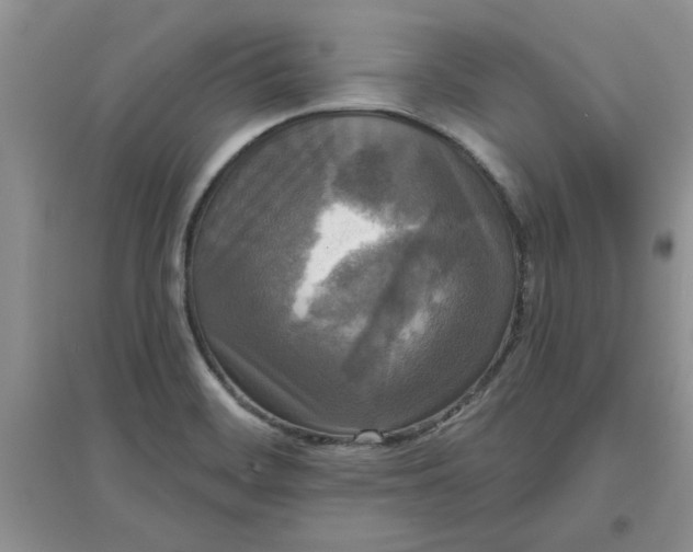 X0000097631468200803142014