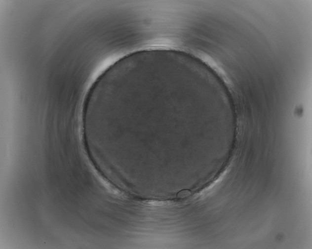 X0000097631469200803142014