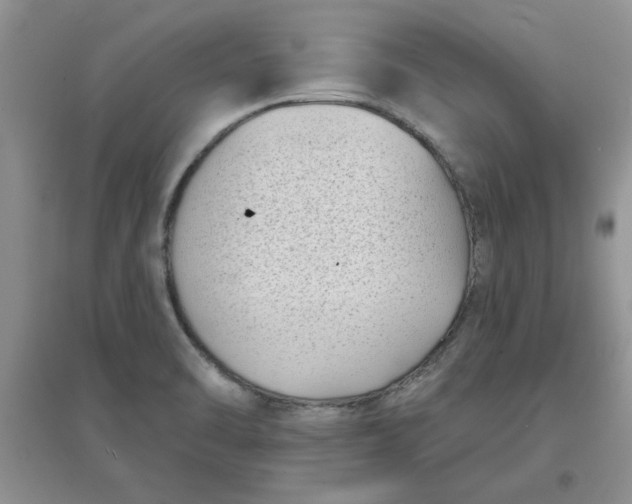 X0000097631470200803142013