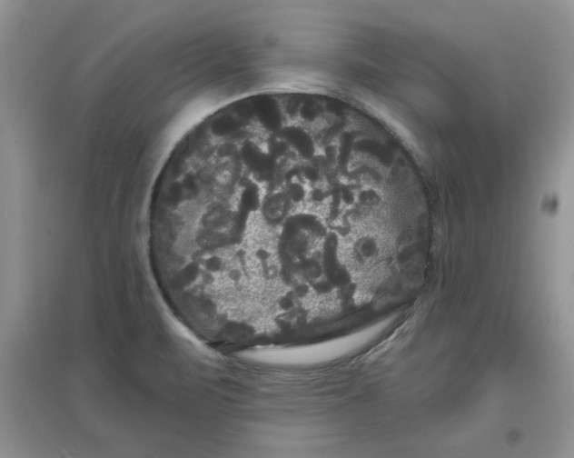 X0000097631471200803142013