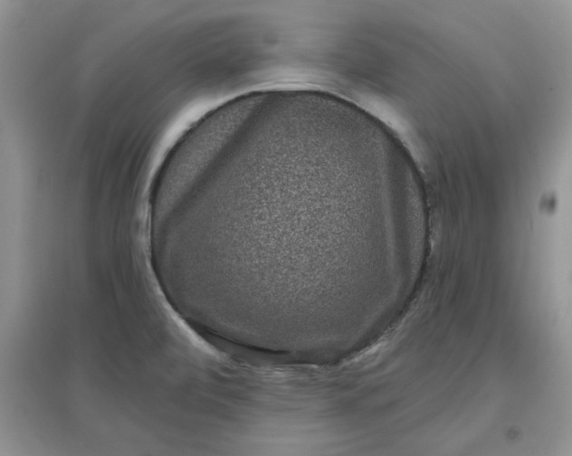 X0000097631472200803142013