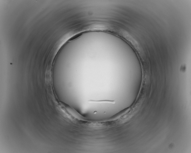 X0000097631473200803142013