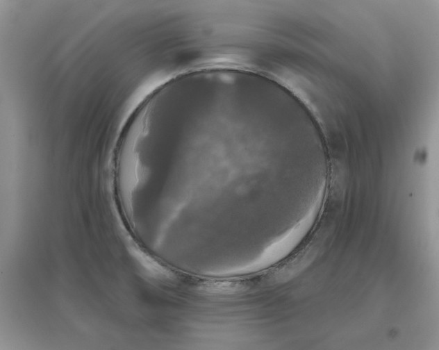 X0000097631474200803142013