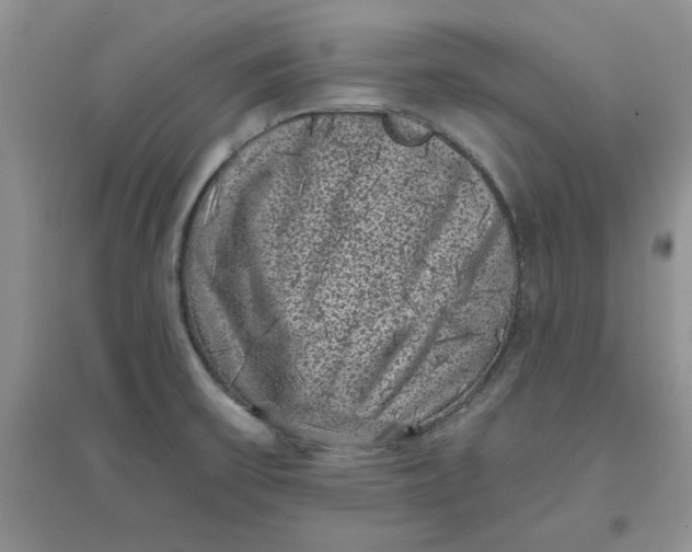 X0000097631475200803142013