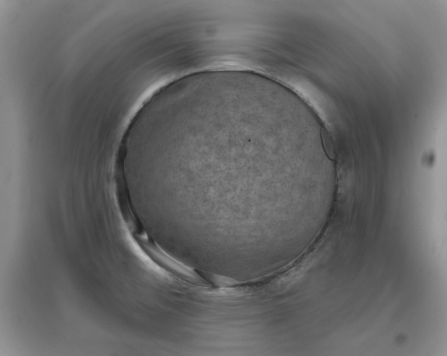 X0000097631476200803142013