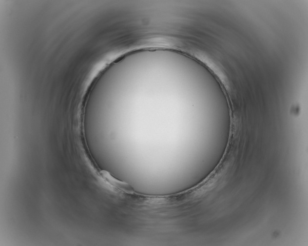 X0000097631477200803142013