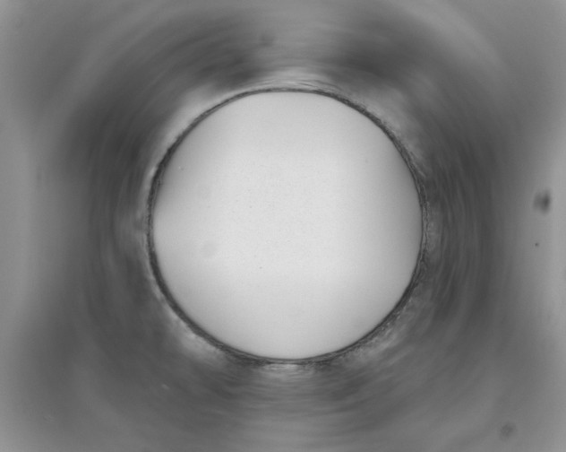 X0000097631478200803142013