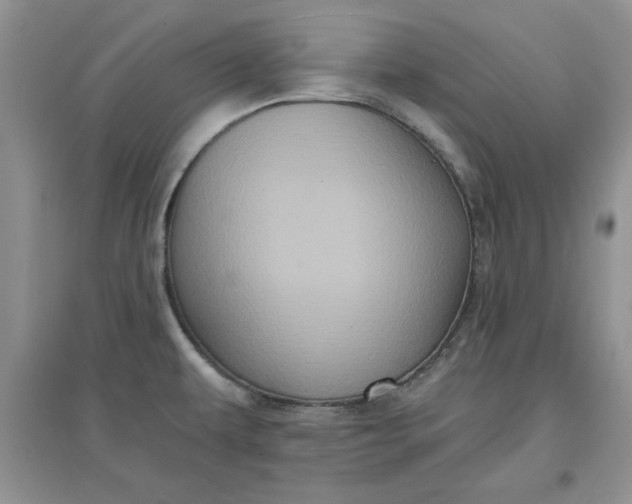 X0000097631479200803142013