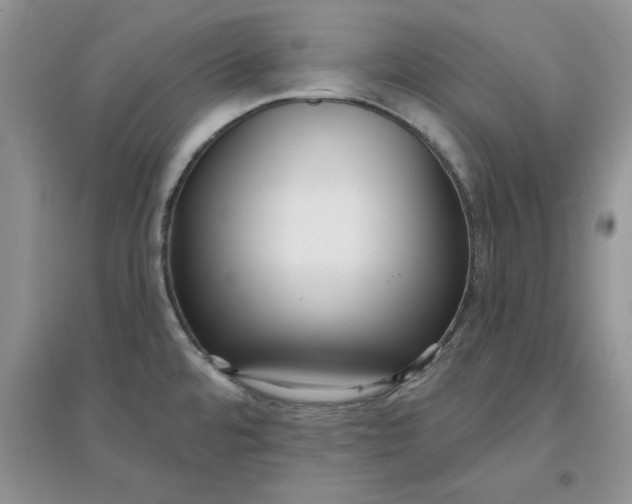 X0000097631480200803142013