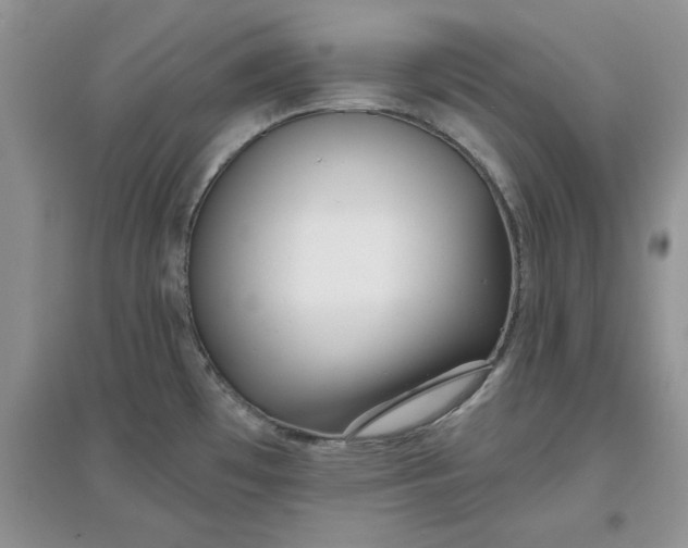 X0000097631481200803142013