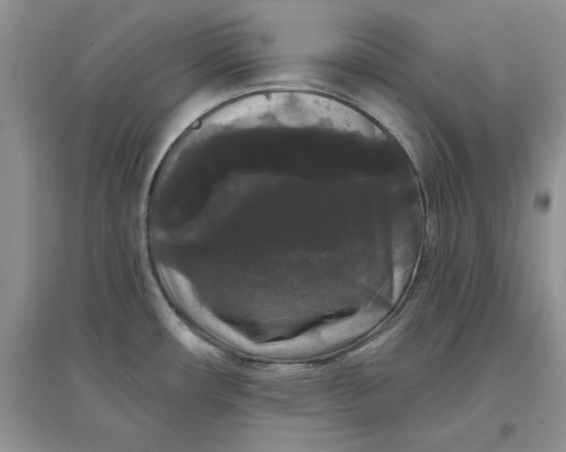 X0000097631482200803142013