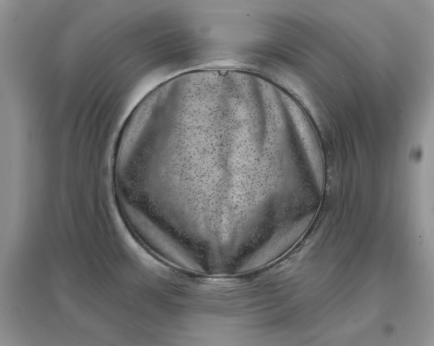 X0000097631483200803142013