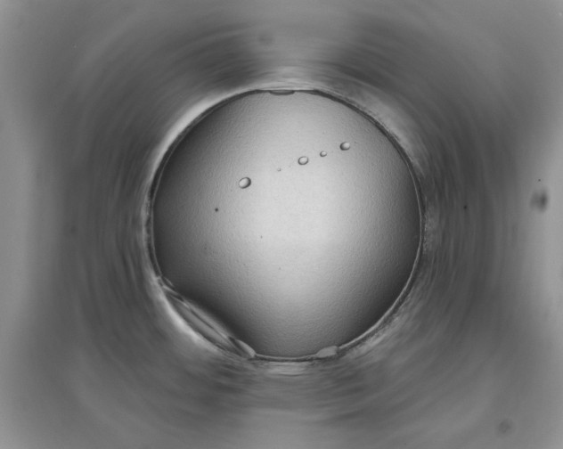 X0000097631484200803142013