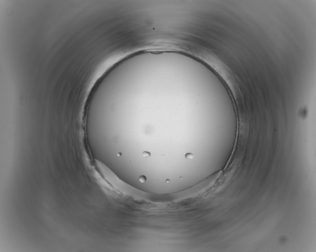 X0000097631485200803142013