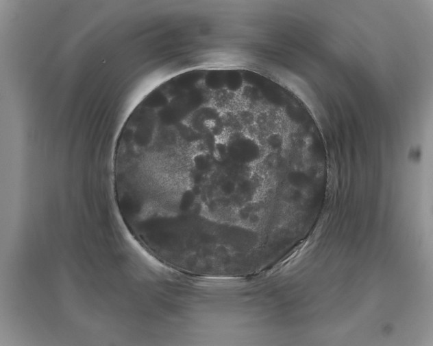 X0000097631487200803142013