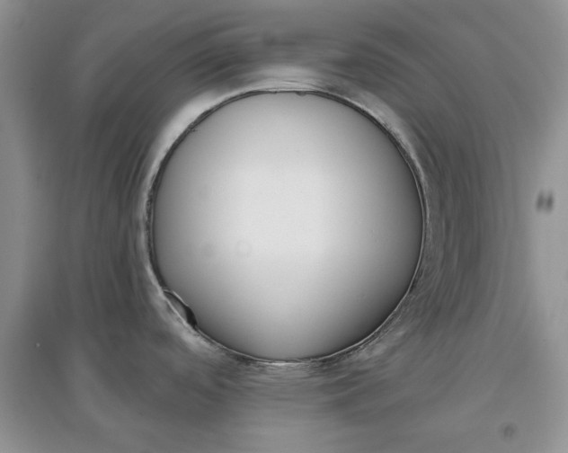 X0000097631488200803142013