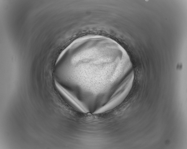 X0000097631489200803142012