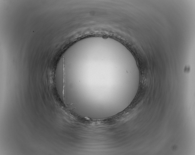 X0000097631490200803142012