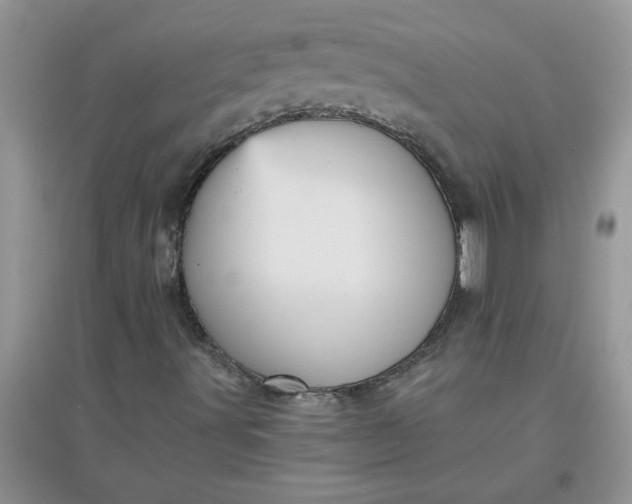 X0000097631491200803142012