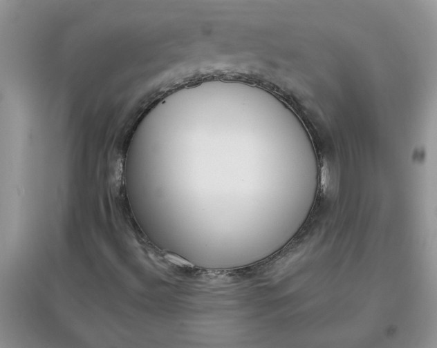 X0000097631492200803142012