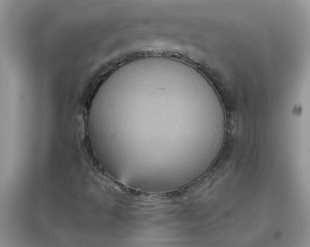 X0000097631493200803142012