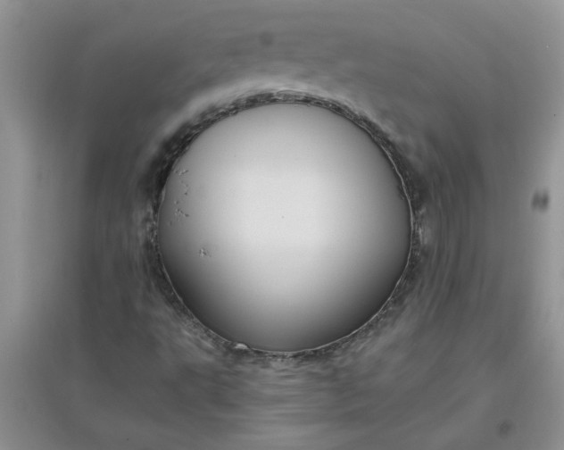 X0000097631495200803142012