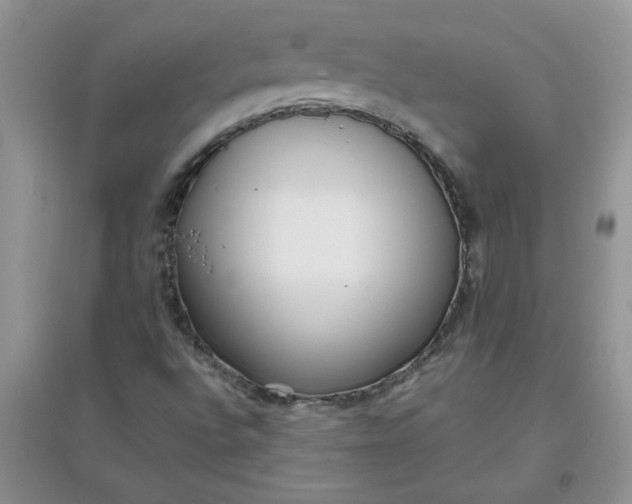 X0000097631496200803142013