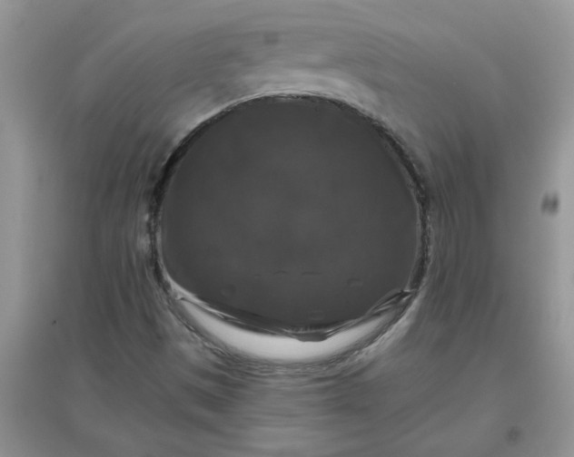 X0000097631497200803142013