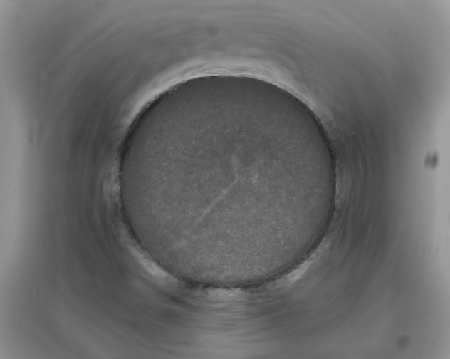 X0000097631498200803142013